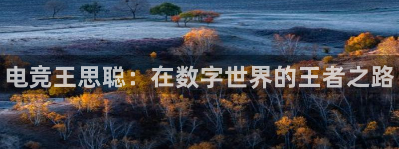 im电竞平台首页